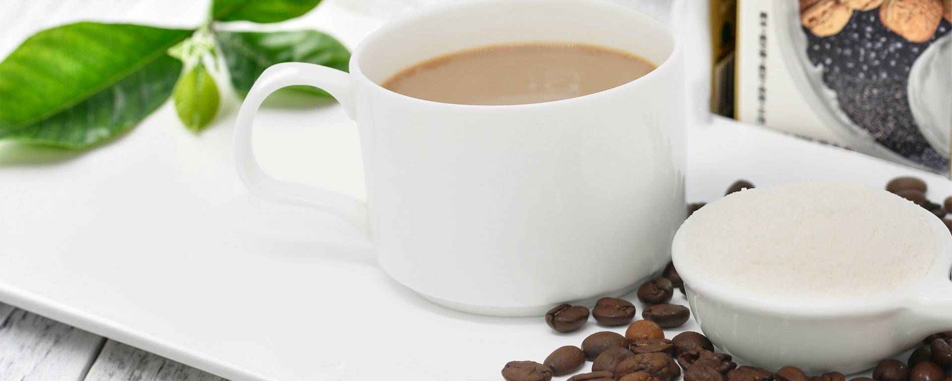 Non Dairy Creamers Manufacturer